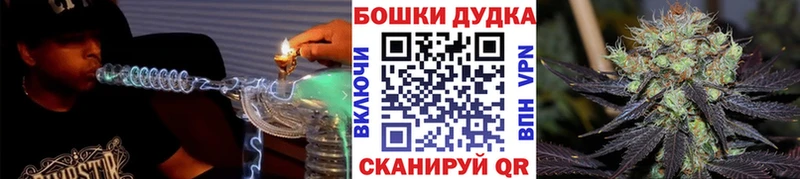 дарнет шоп  Тосно  Шишки марихуана планчик 